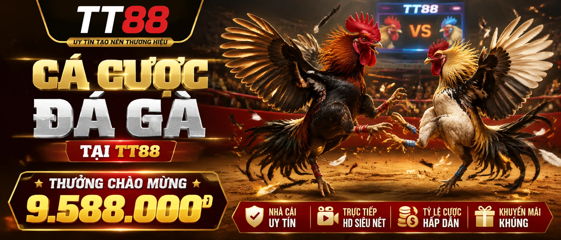 Đá Gà Trực Tiếp trên TT88 với giao diện live tối giản